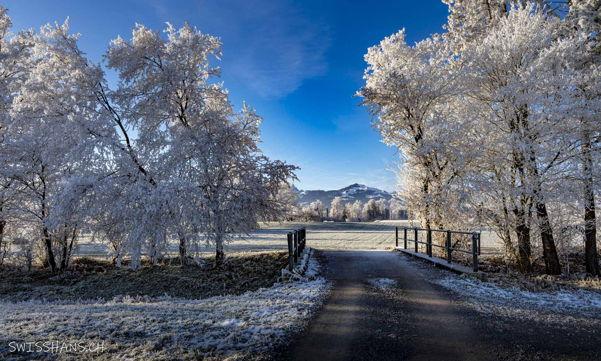 marbach-brücke-windschutzstreifen-raureif-winterlandschaft