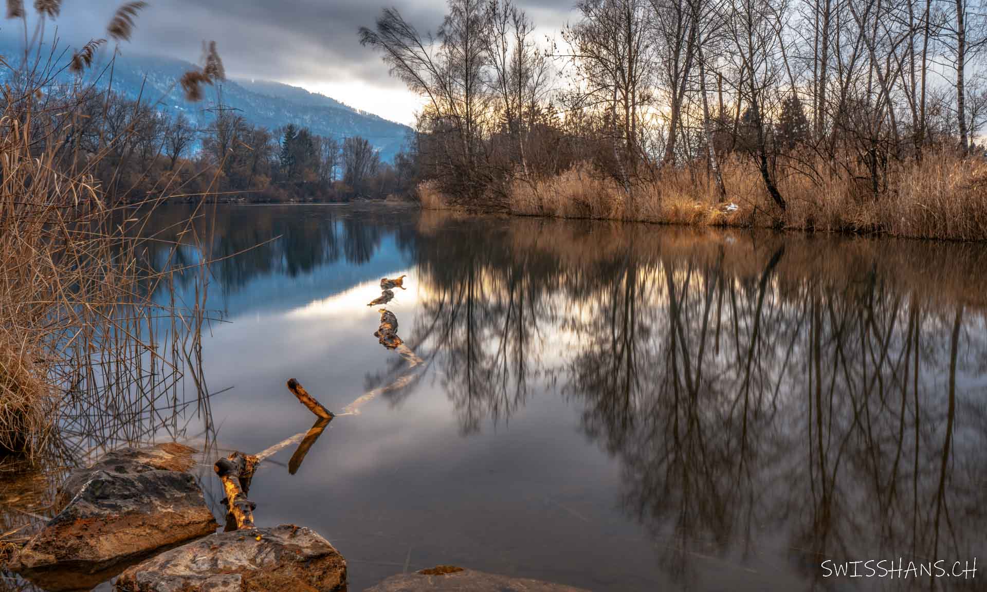 Am Alten Rhein