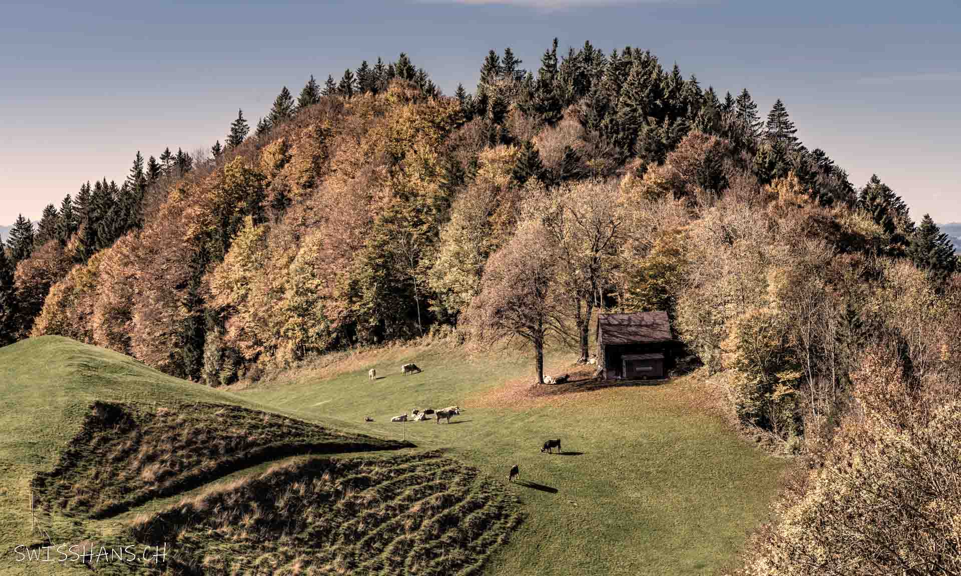 Landschaft in Gais