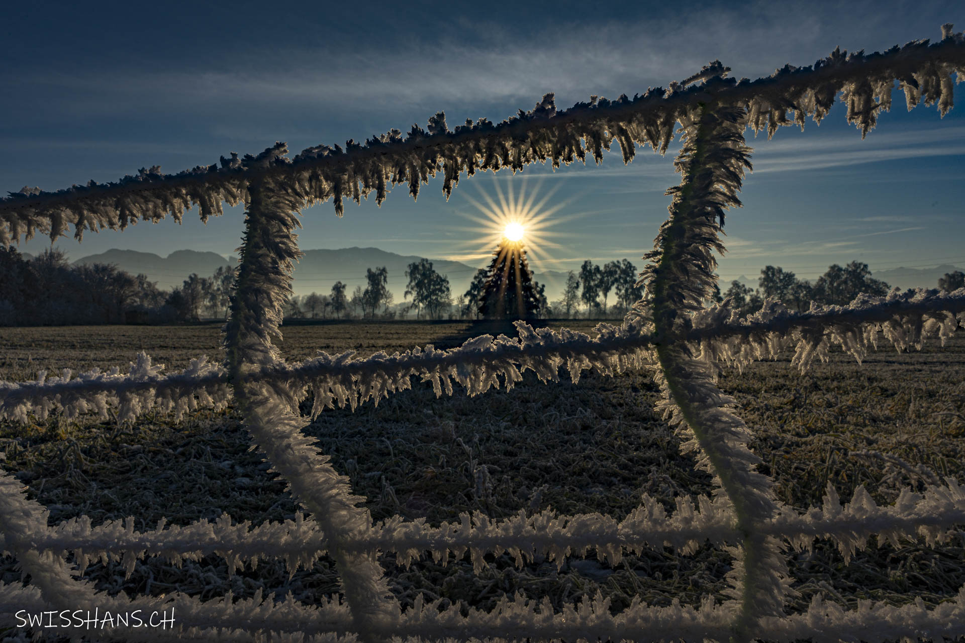 marbach-zaun-sonnenstern-raureif-winterlandschaft