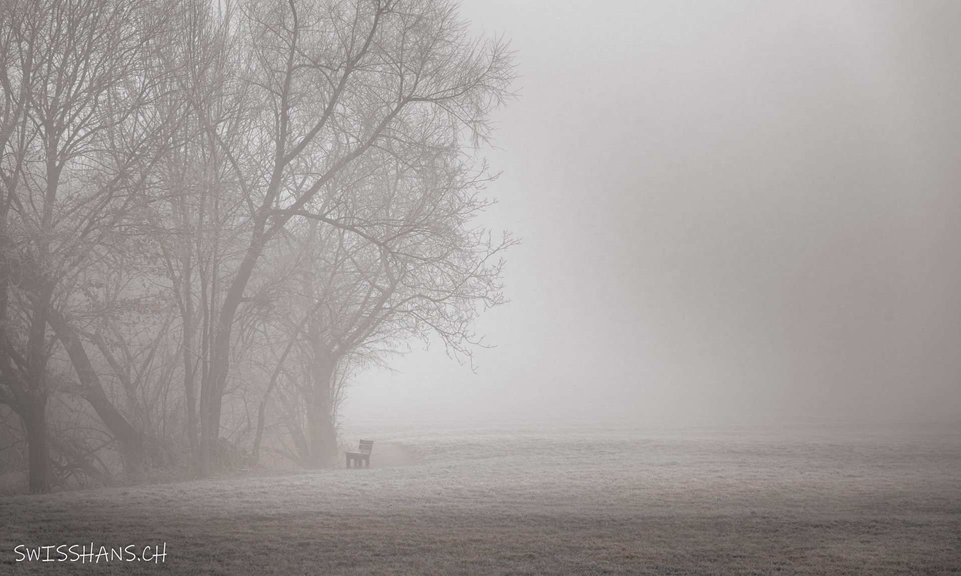 Waldrand des Naturschutzgebietes Wichenstein Oberriet mit Sitzbank im Nebel.