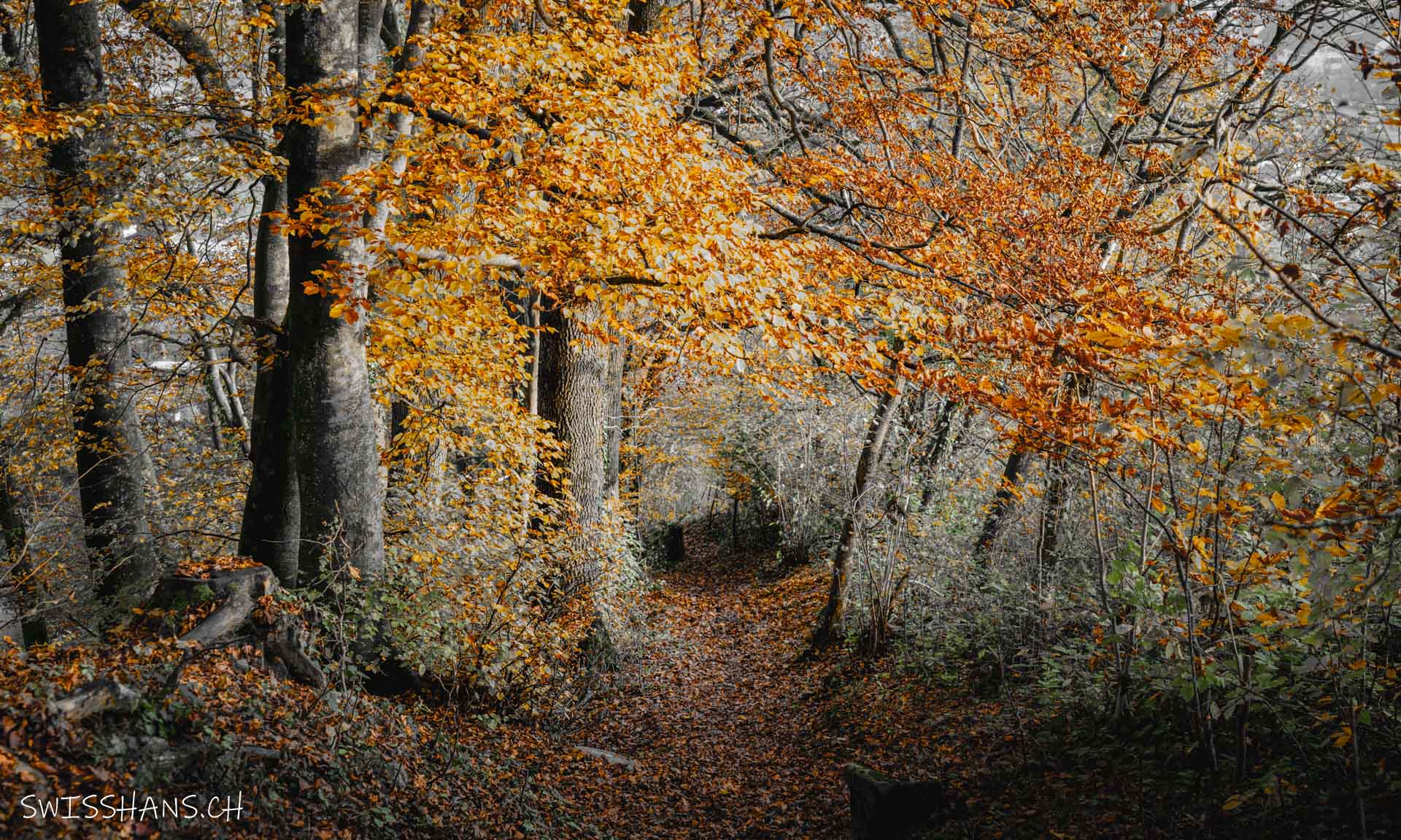 altstätten-waldpark