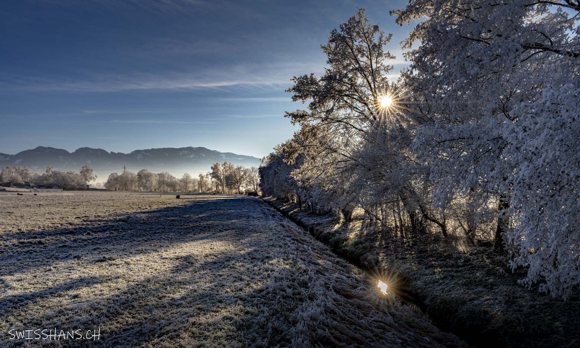 marbach-bach-windschutzstreifen-raureif-winterlandschaft