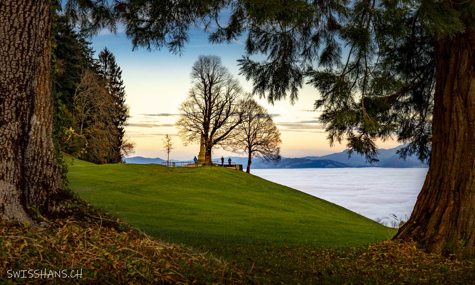 gais-schlachtdenkmal-baum
