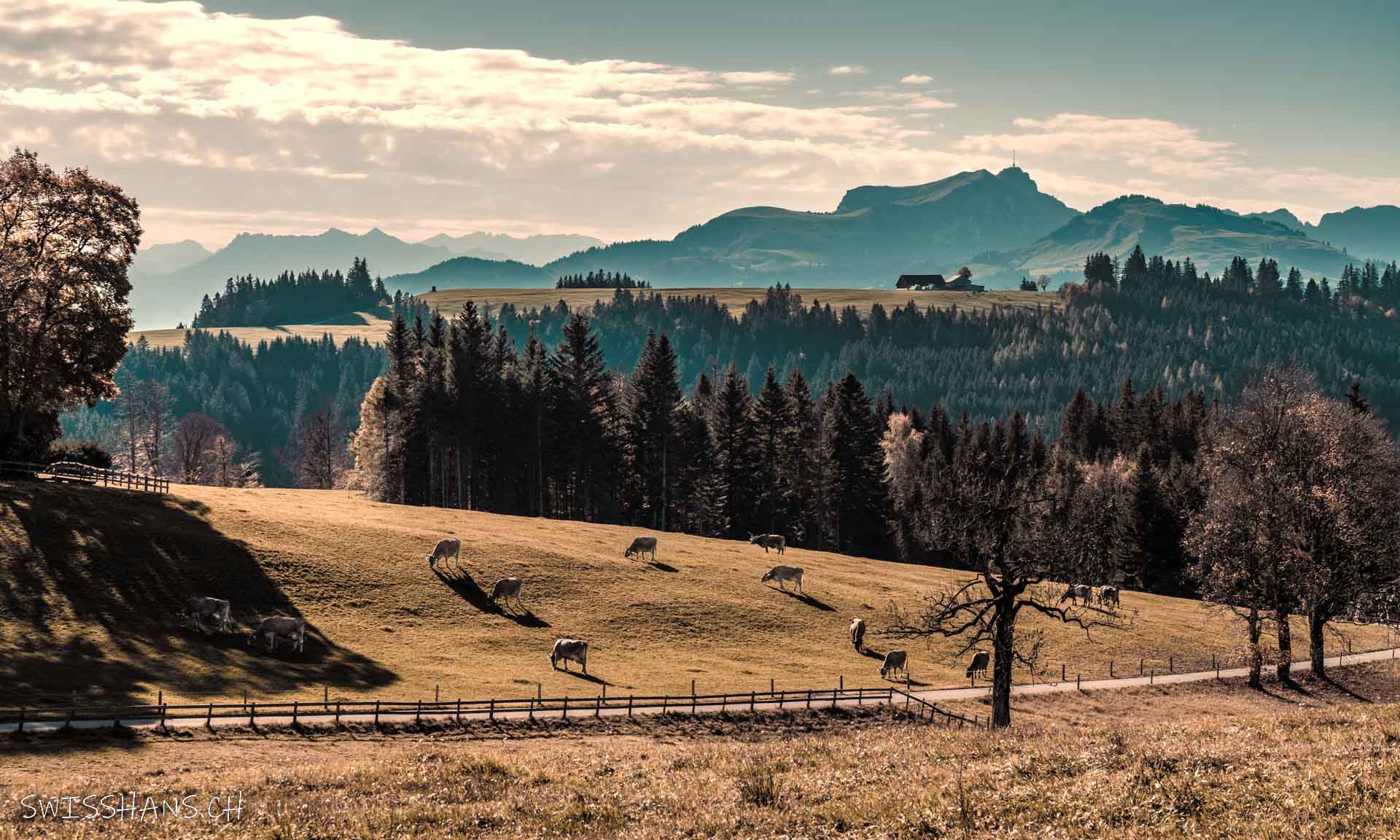 Blick vom Schwäbrig zum Sommersberg