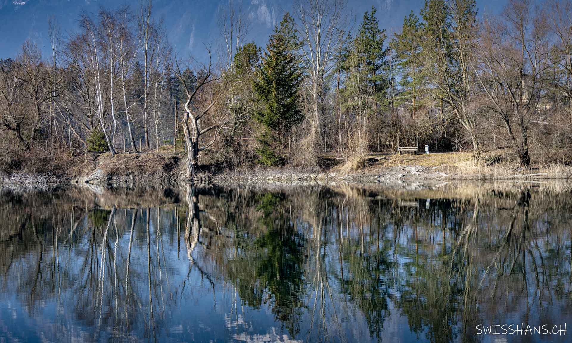 Spiegelungen im Paspels See mit Ruhebank und morschem Baum in Rankweil.