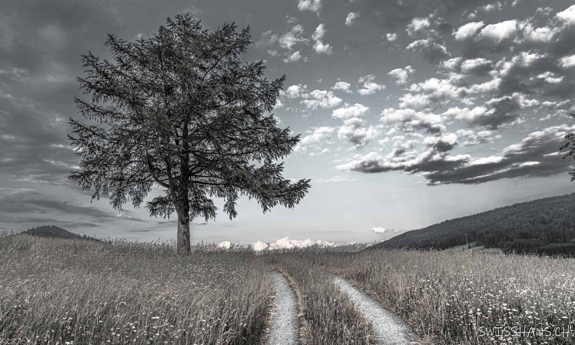 Auf dem Weg nach oben.
