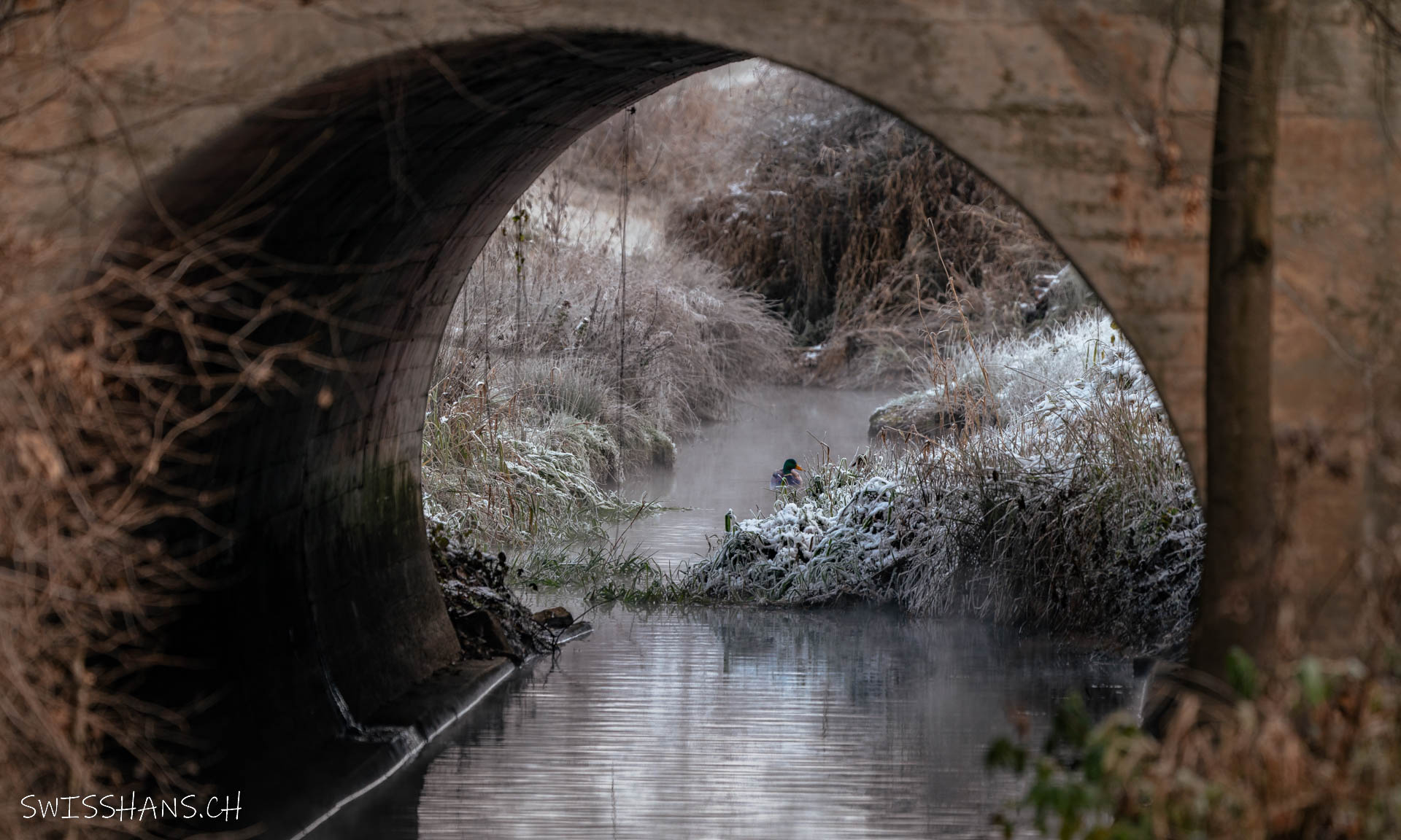 Ententunnel, Diepoldsau
