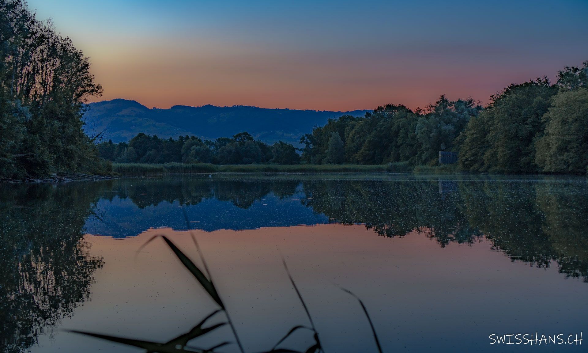 Abend im Naturschutzgebiet Wichenstein
