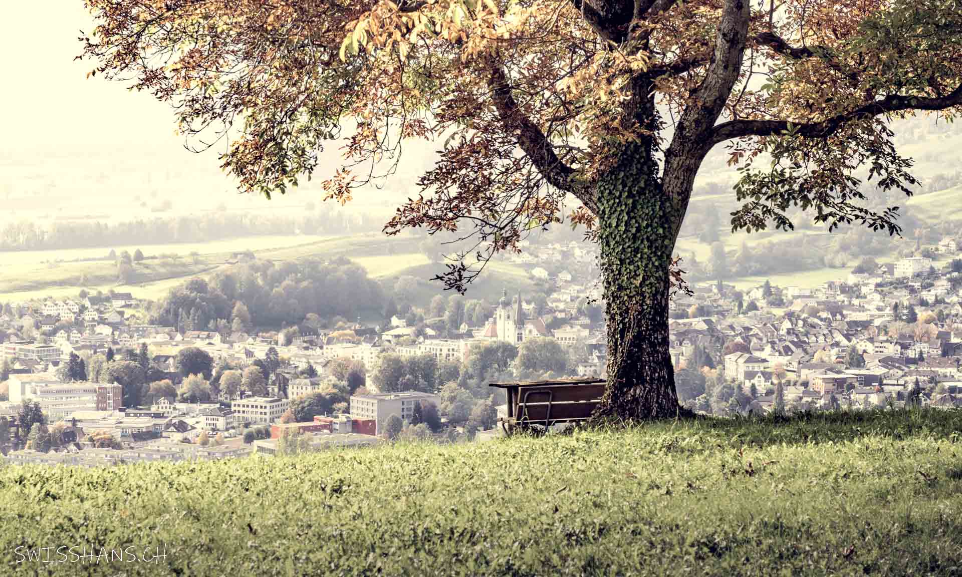 Baum und Bank, Altstätten