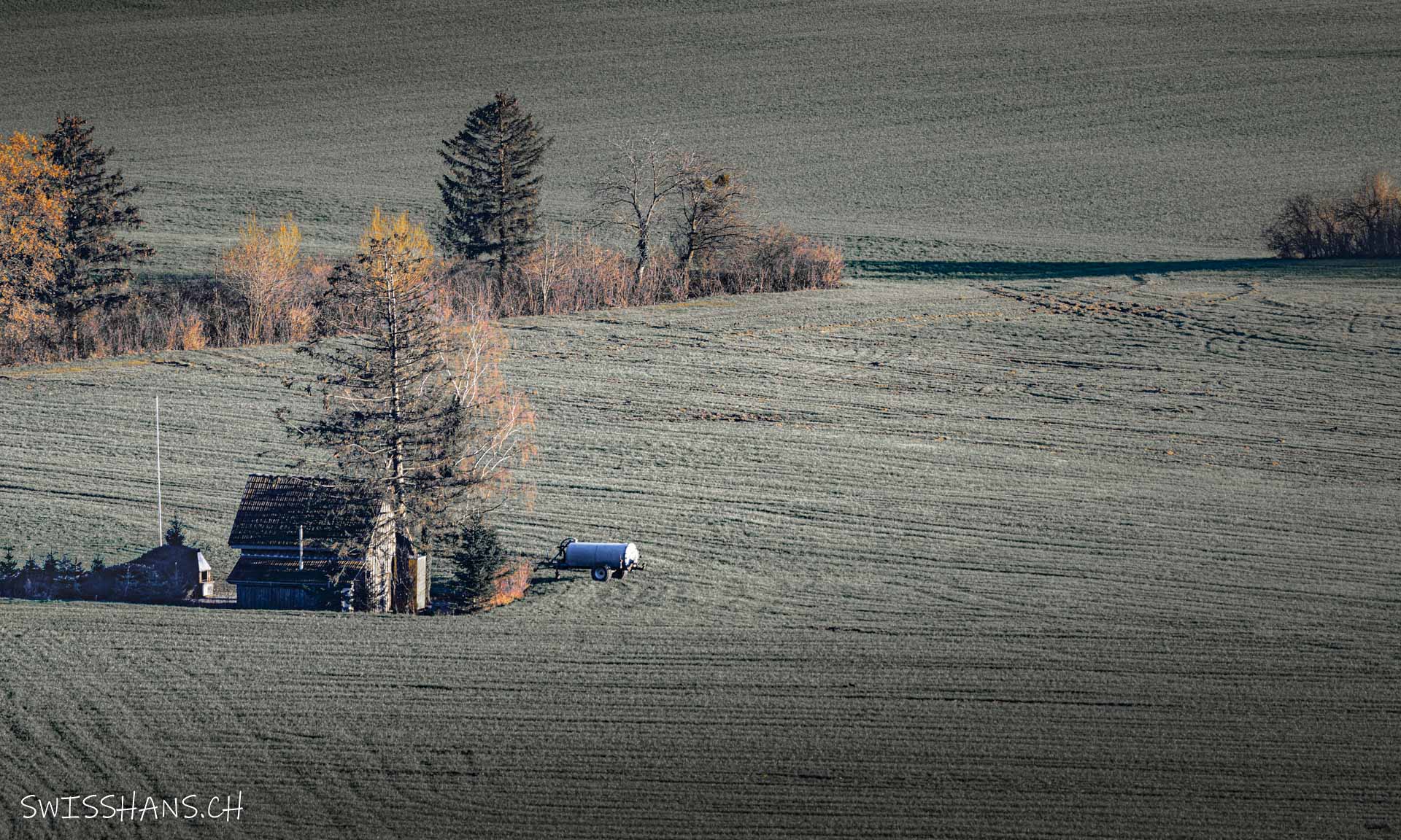 rheintal-riet-stall-güllenwagen