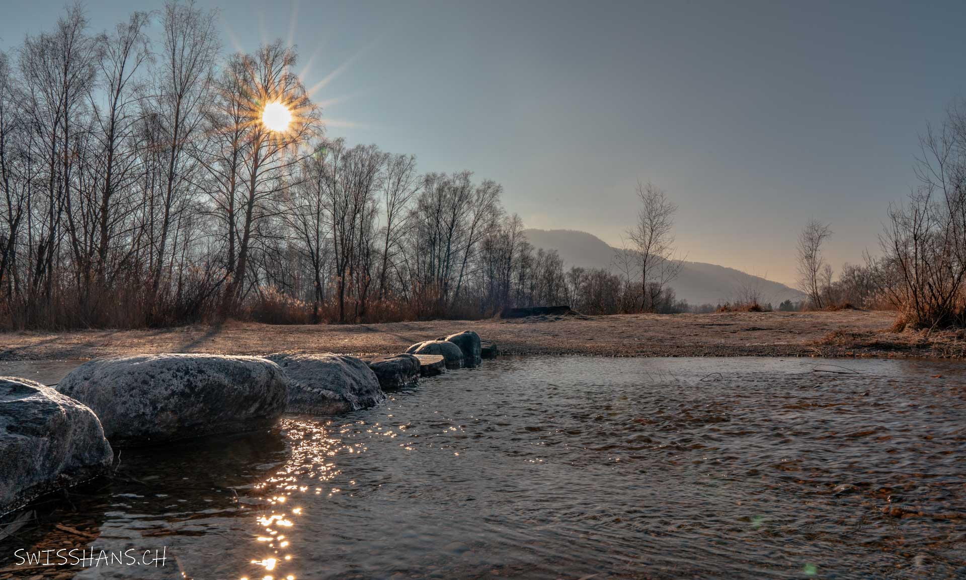Wintersonne am alten Rhein