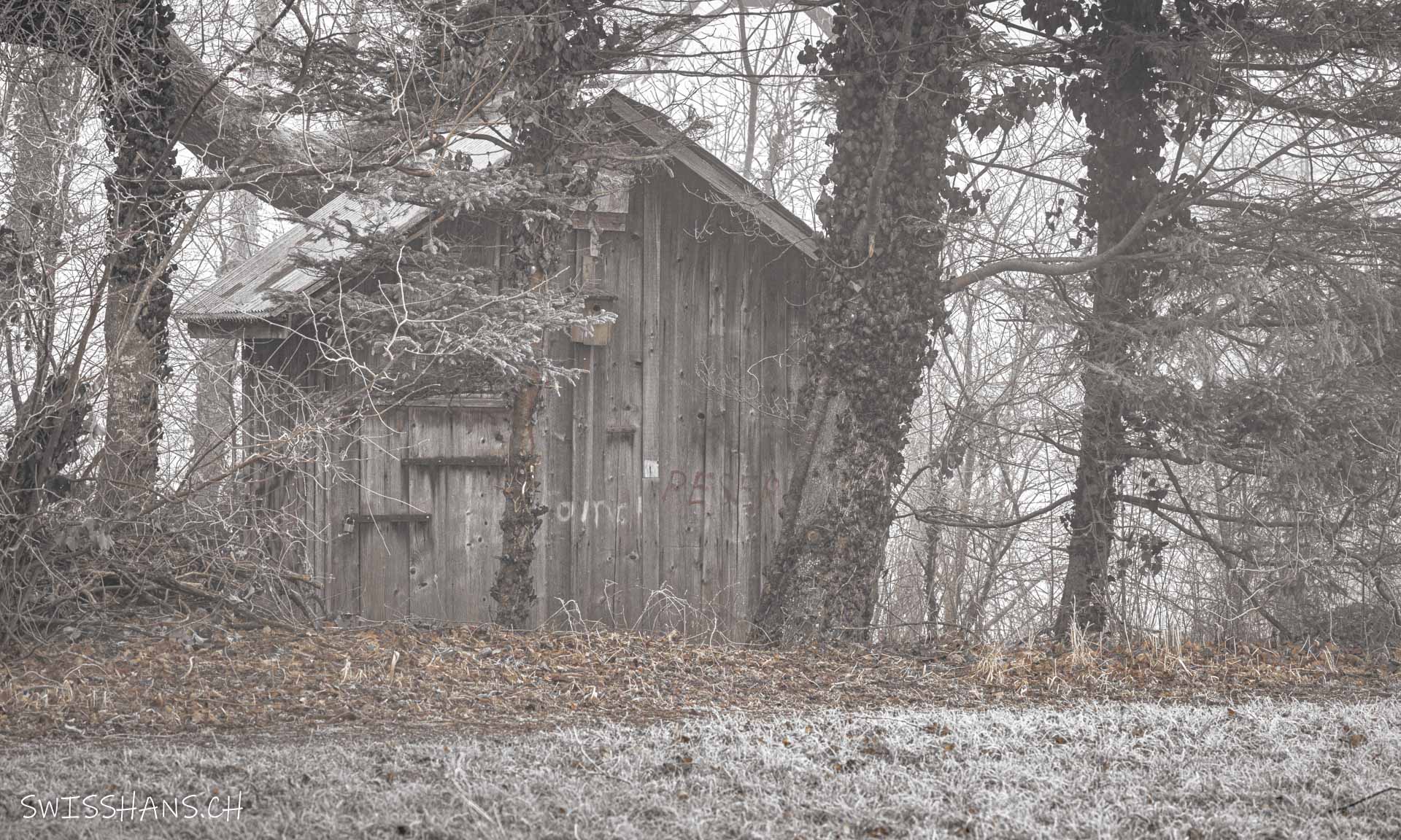 Die verlotterte Hütte im Naturschutzgebiet Wichenstein Oberriet im Nebel.