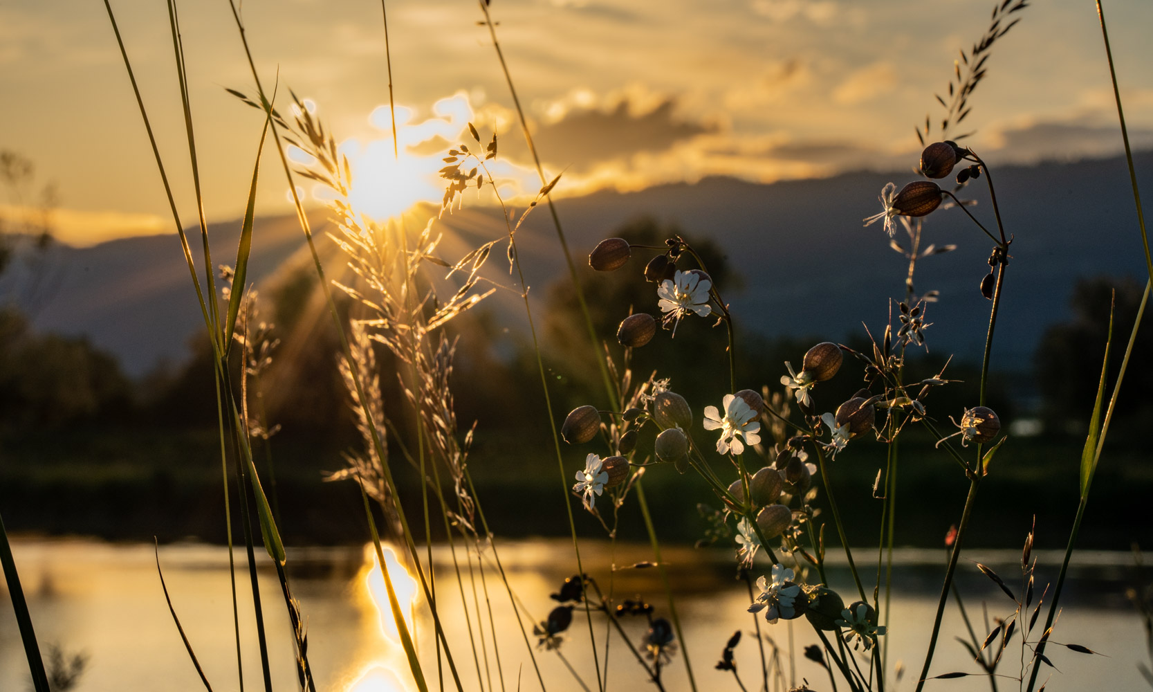 Sonnenaufgang am Schleienloch