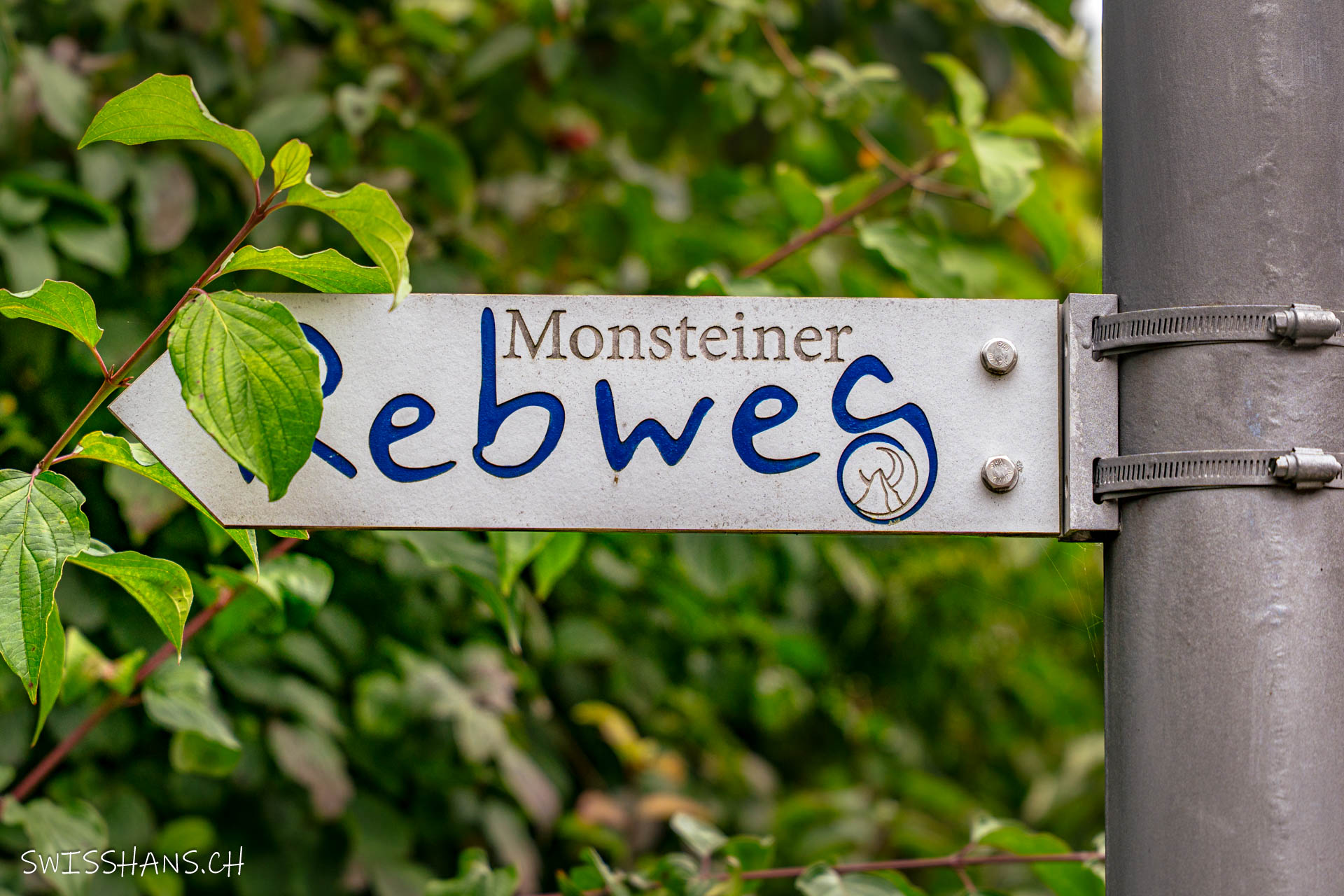 Monsteiner Rebweg, Au
