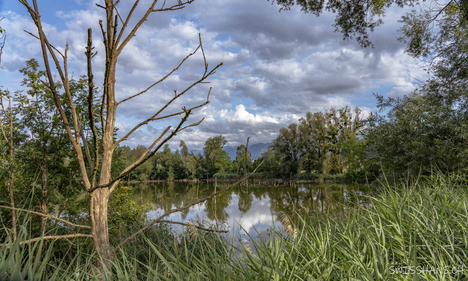 Kiessammler, Marbach
