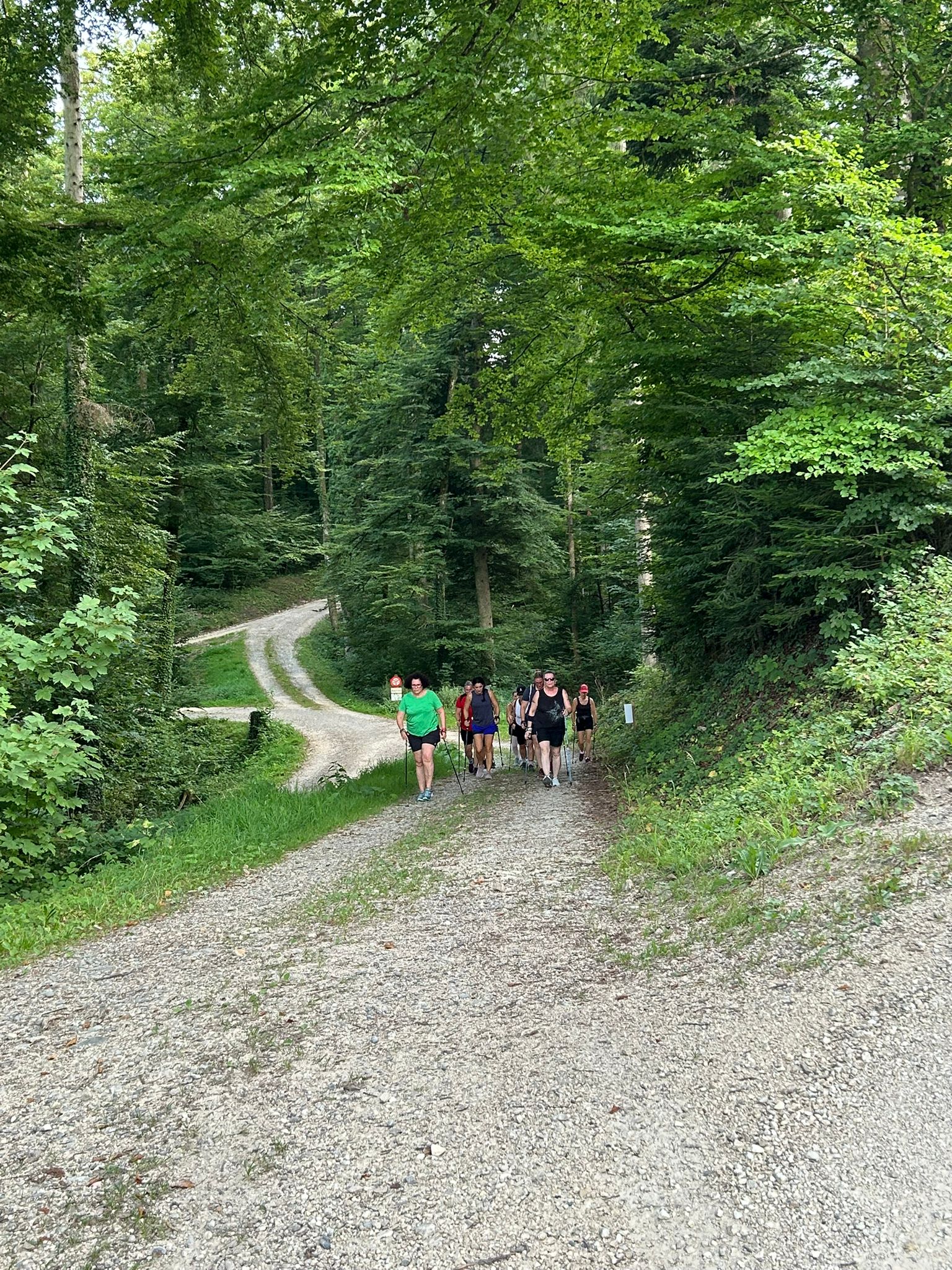 Auf der Flucht vor der Sommerhitze: Walking im Wald 