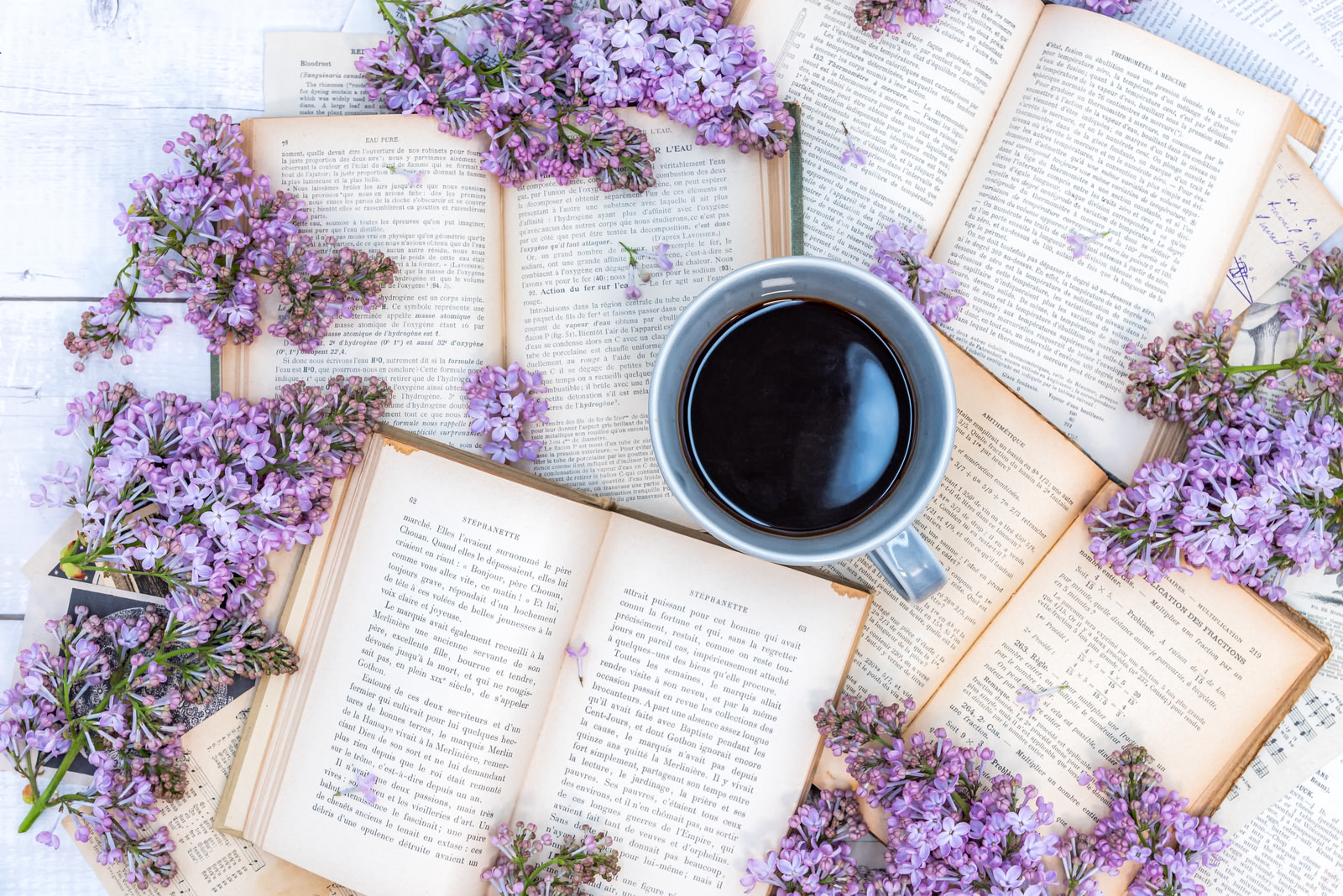 2025年度こだち研修会年間案内(2025.11.5更新)