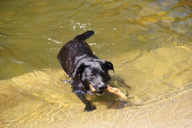 Im Wasser bin ich in meinem Element