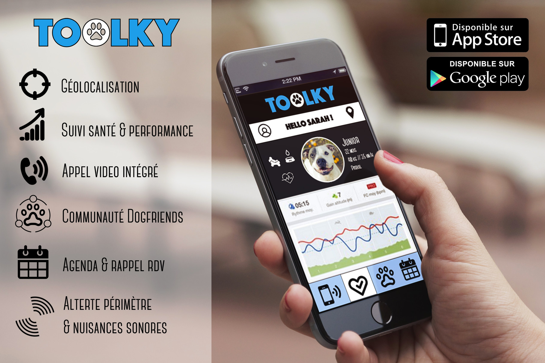 Projet de création d'entreprise: TOOLKY, le premier collier ultra-connecté pour les chiens - Application mobile du produit