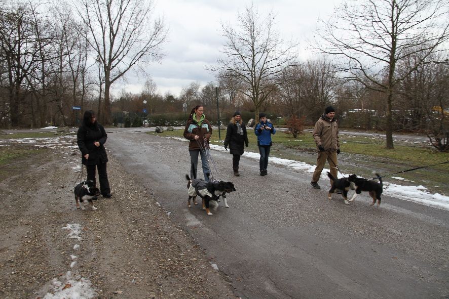 Gemeinsamer Spaziergang