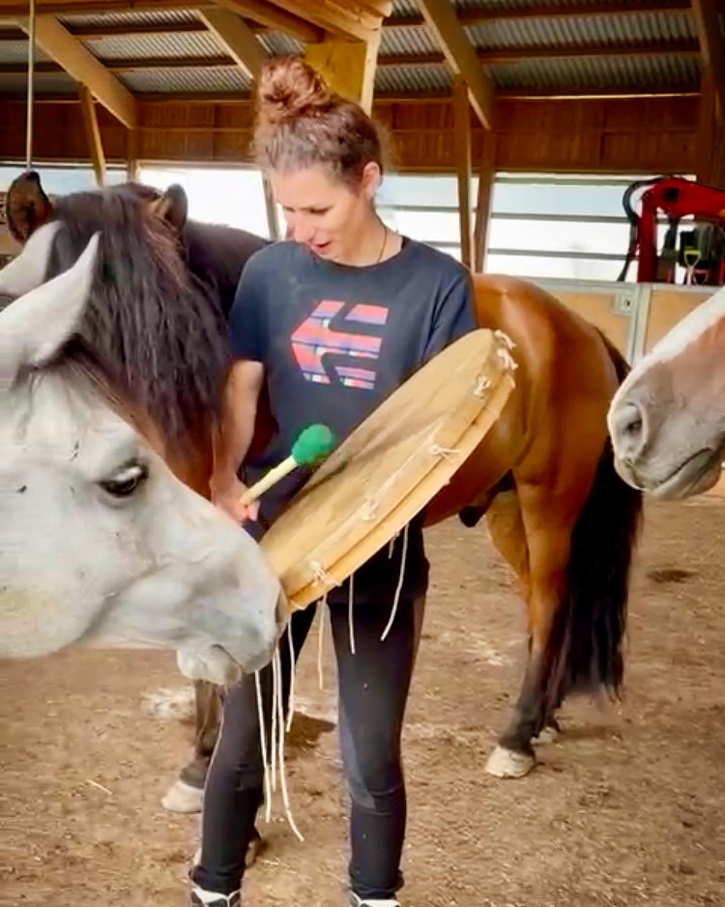 Sonja Spitteler, Ahyoka, horse Spirit, Schamanismus, Trommel