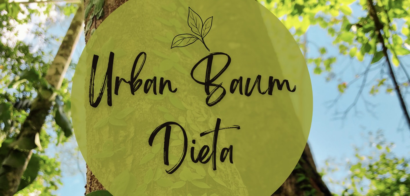Urban Baum Dieta - im Tipi