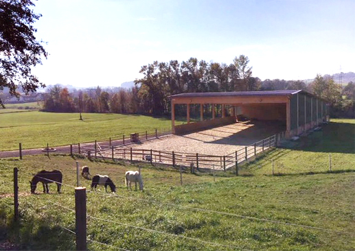 Reiten in 4912 Neuhofen, Leinberg 8