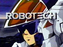 Robotech: The Macross Saga, Socialization and Anthropology