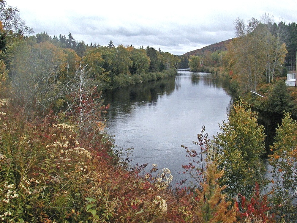 Rouge Watershed and Ongoing Pollution and Damage to The Great Lakes