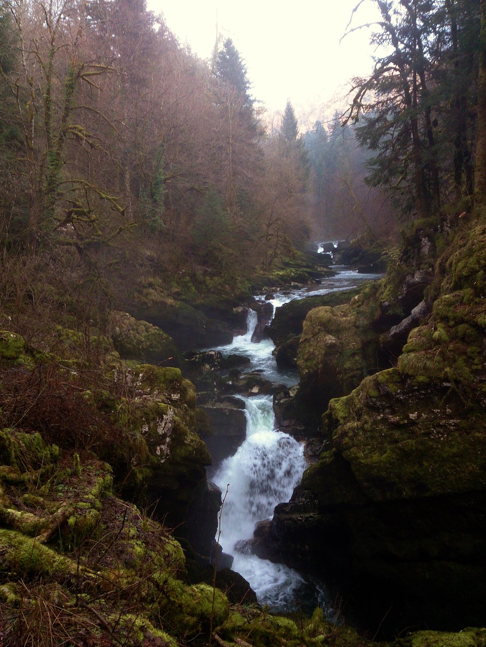 Bourg de Sirod et les pertes de l'Ain