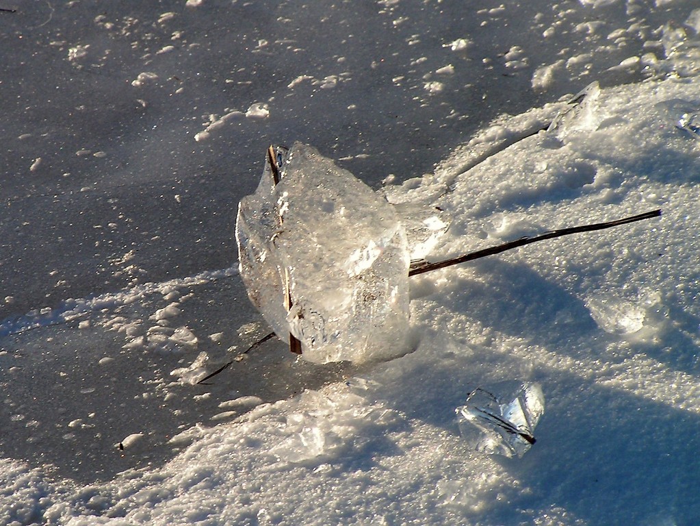 glaçons