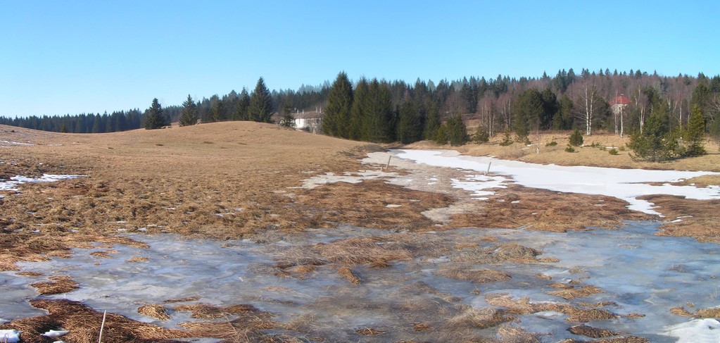 31 janvier - balade autour du lac des Mortes - effets de gel