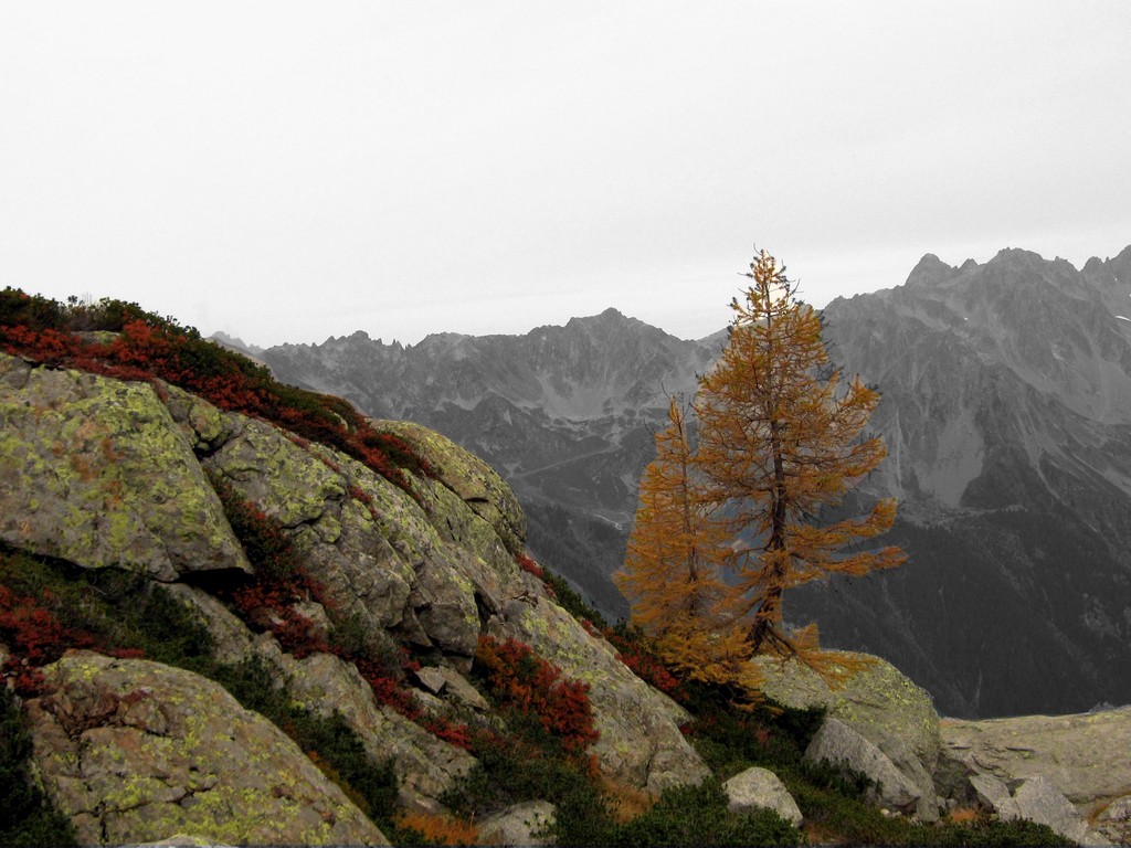 CHAMONIX - Automne - désaturation partielle