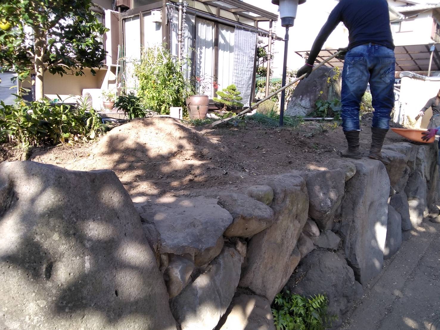 植栽伐採、伐根作業中