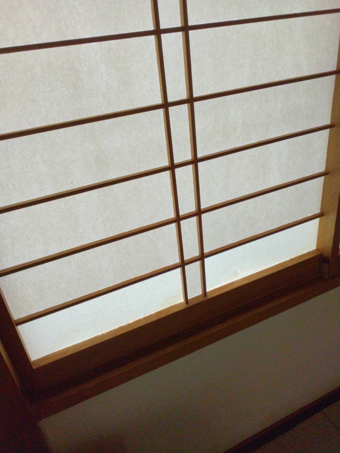 施工前（破れ）
