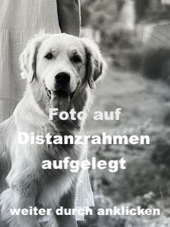 Bild aufhängen