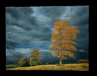 Bild von Schampi