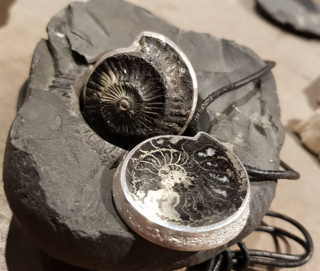 Silber mit versteinertem Ammonit als Ring und Kettenanhänger