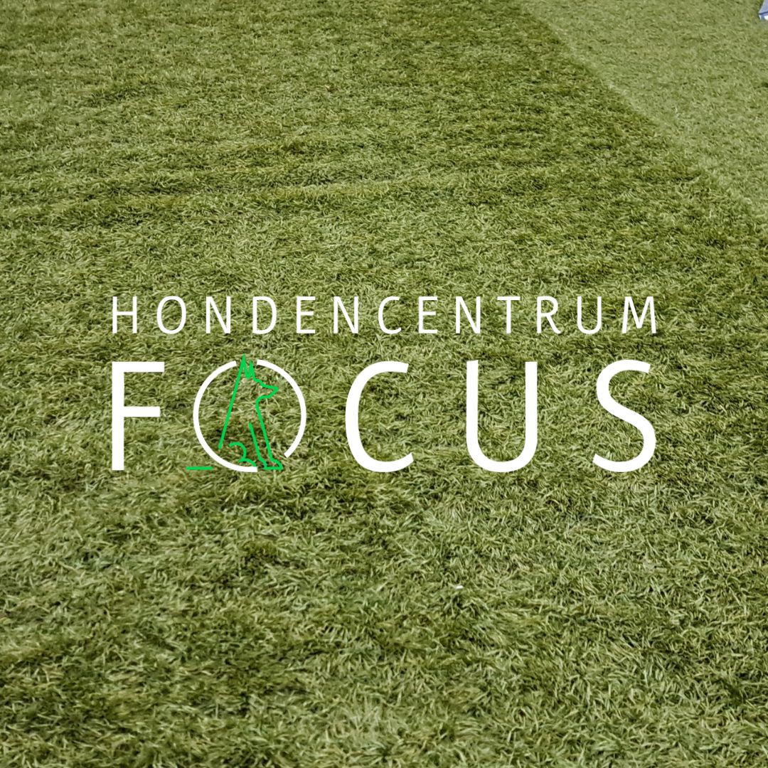 Focus gaat sluiten & wat nu?
