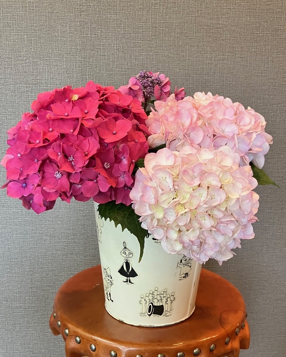 今年も紫陽花の季節がやってきました