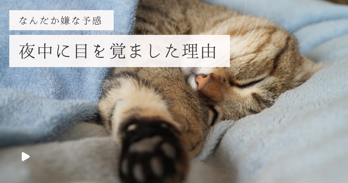 夜中に目を覚ました理由