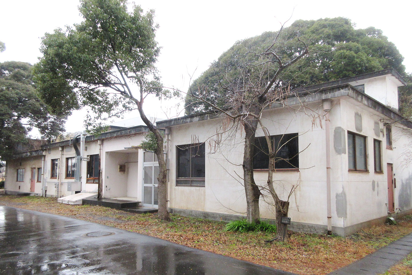 遺伝研 放射線実験室外構他整備設計業務