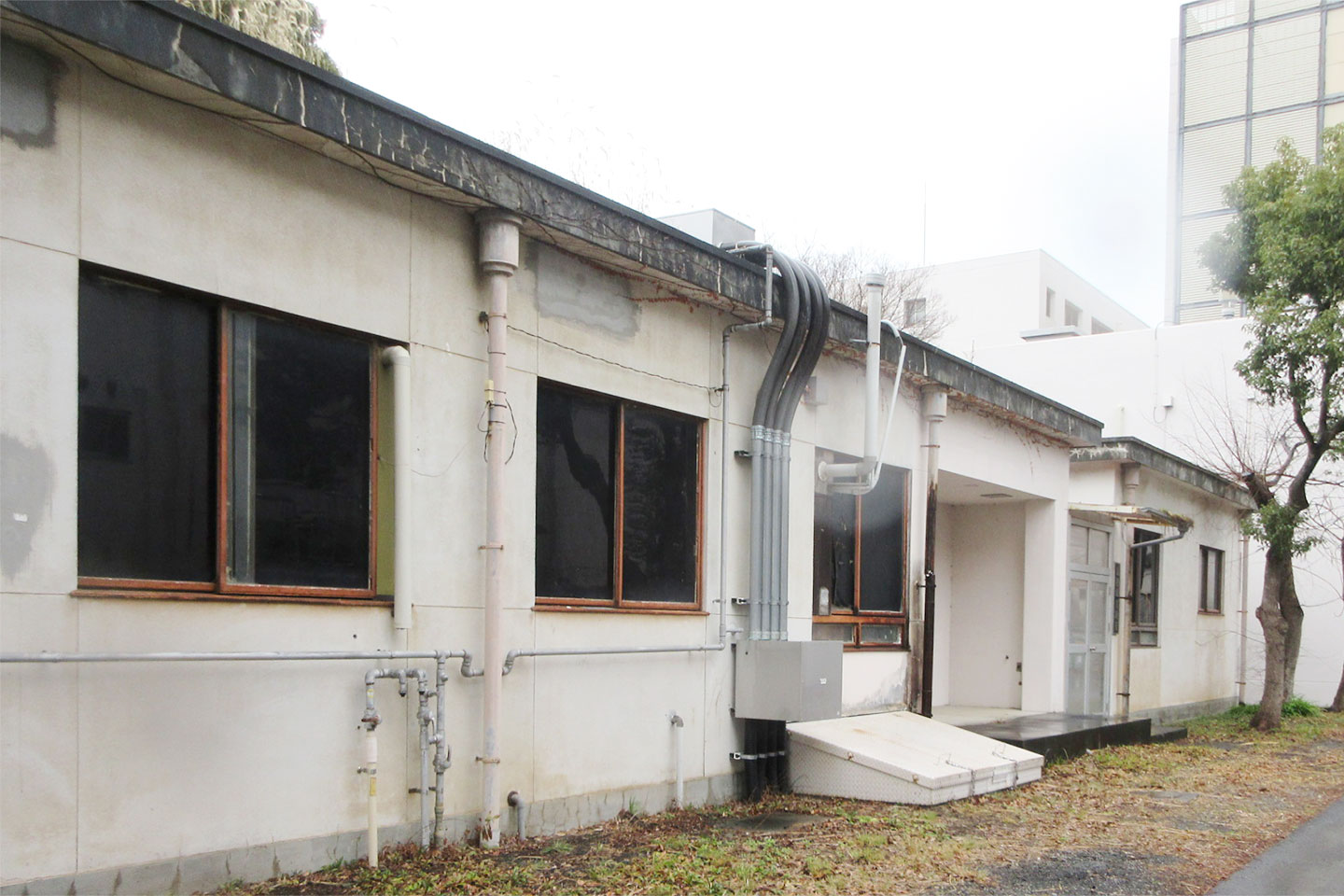 遺伝研 放射線実験室外構他整備設計業務