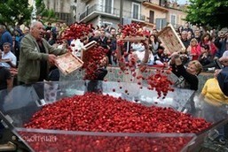 カステッリロマーニ　ワイナリー体験　イタリアざんまいツアーで！