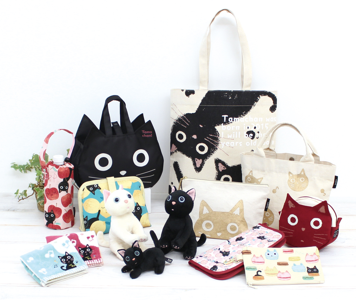 人気のキャラクターをご紹介♪ - noafamily ノアファミリー