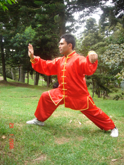 TAI CHI CHUAN