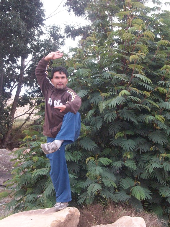 INTRUCTOR LUIS CHINCHILLA BOSQUE