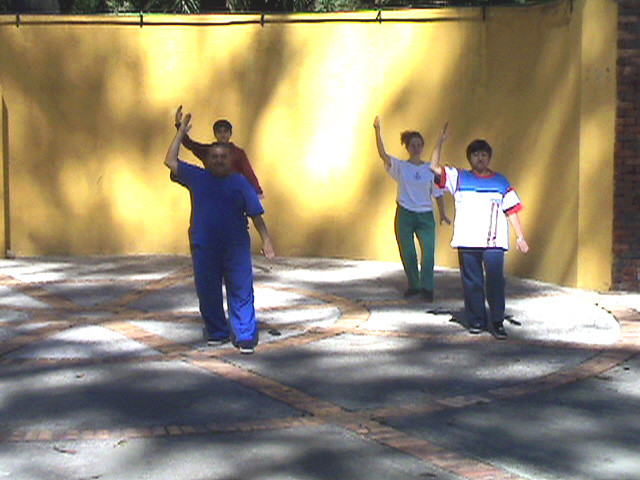PRACTICA TAI CHI