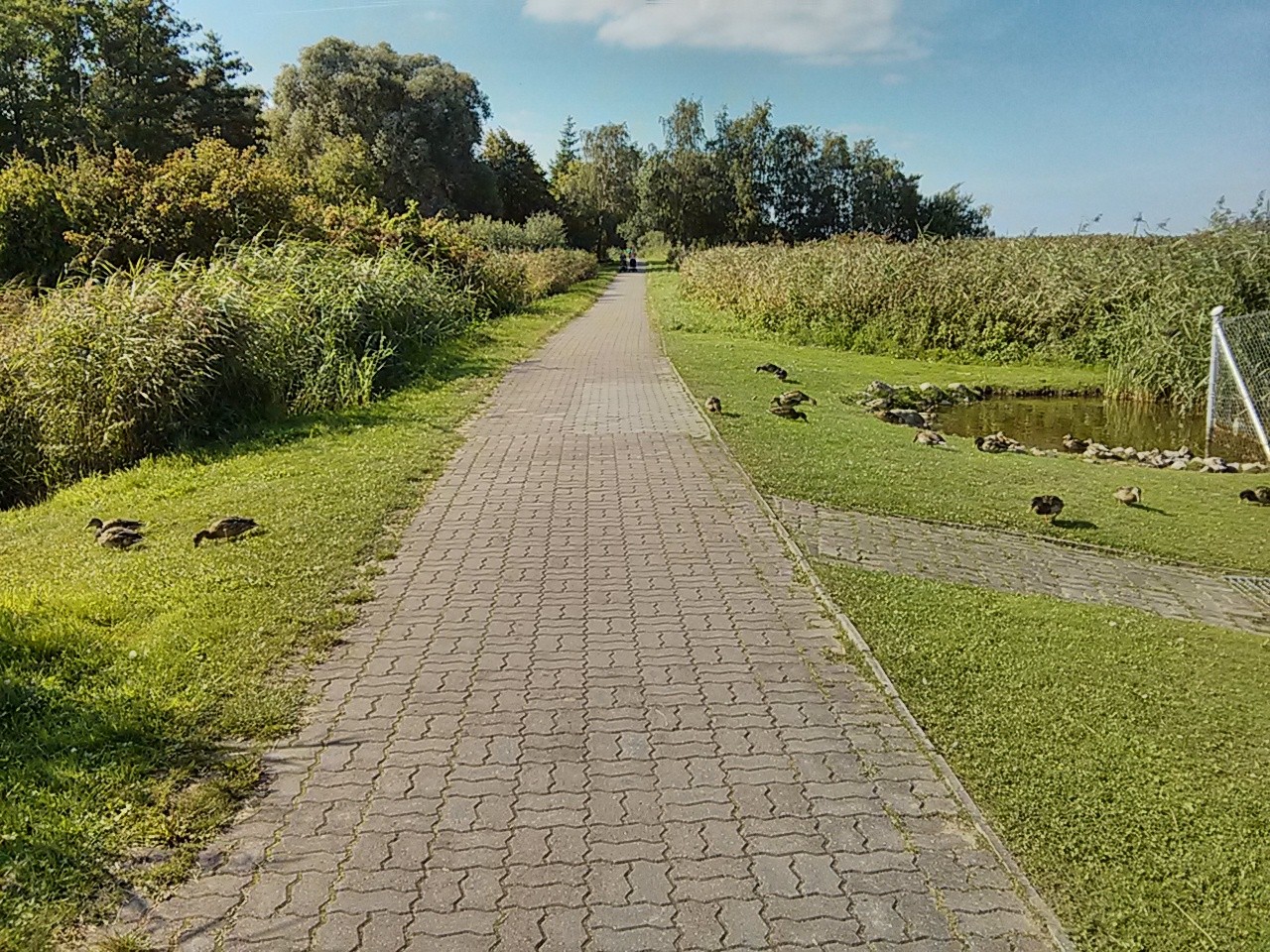 Ostseeküsten-Radweg